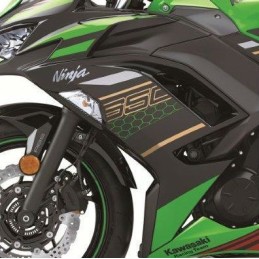 Autocollant vert décoratif flanc de carénage Ninja 650 KRT (2021) | Moto  Shop 35